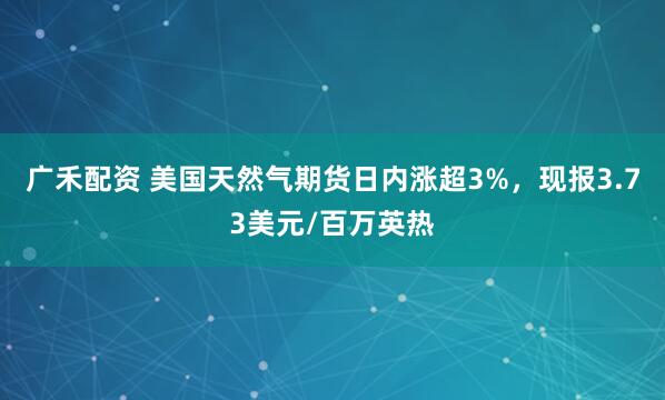 广禾配资 美国天然气期货日内涨超3%，现报3.73美元/百万英热