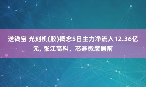 送钱宝 光刻机(胶)概念5日主力净流入12.36亿元, 张江高科、芯碁微装居前