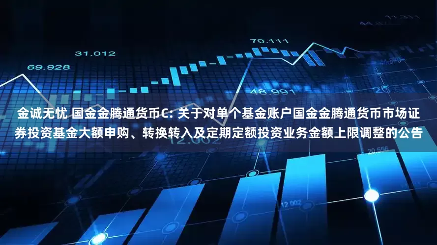 金诚无忧 国金金腾通货币C: 关于对单个基金账户国金金腾通货币市场证券投资基金大额申购、转换转入及定期定额投资业务金额上限调整的公告